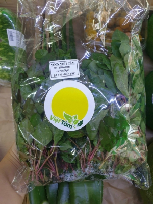Xà Lách Xoong Nhật
